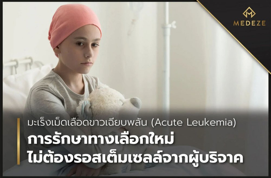 Slider image (3) Medeze Vietnam